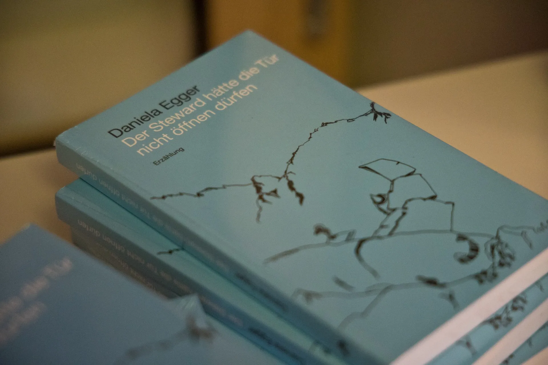 Buch von Daniela Egger "Der Steward hätte die Tür nicht öffnen dürfen"