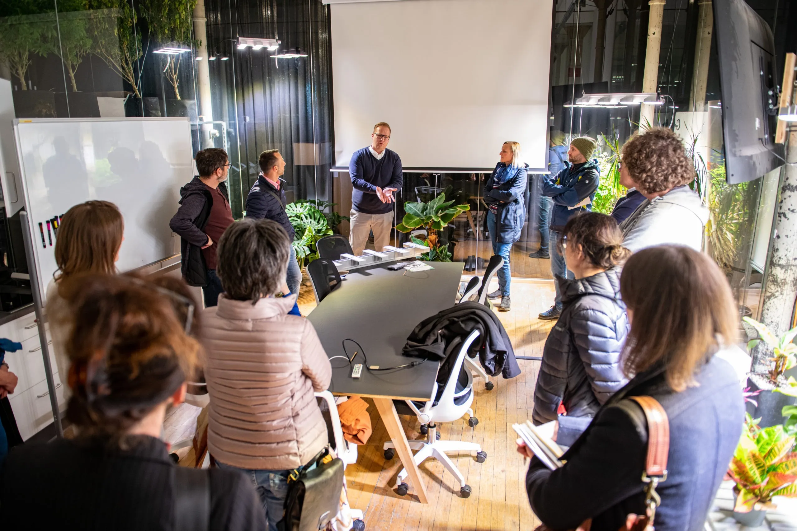 Bei Sunlight im Büro