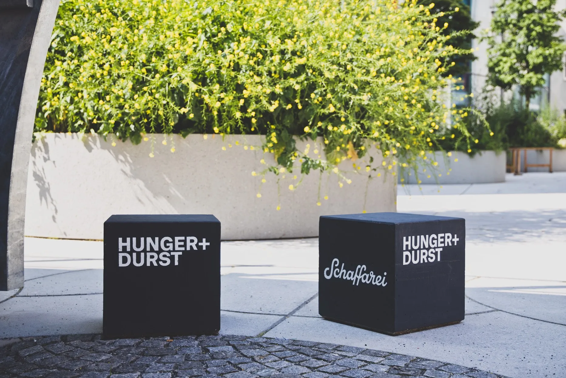 Hunger+Durst Würfel