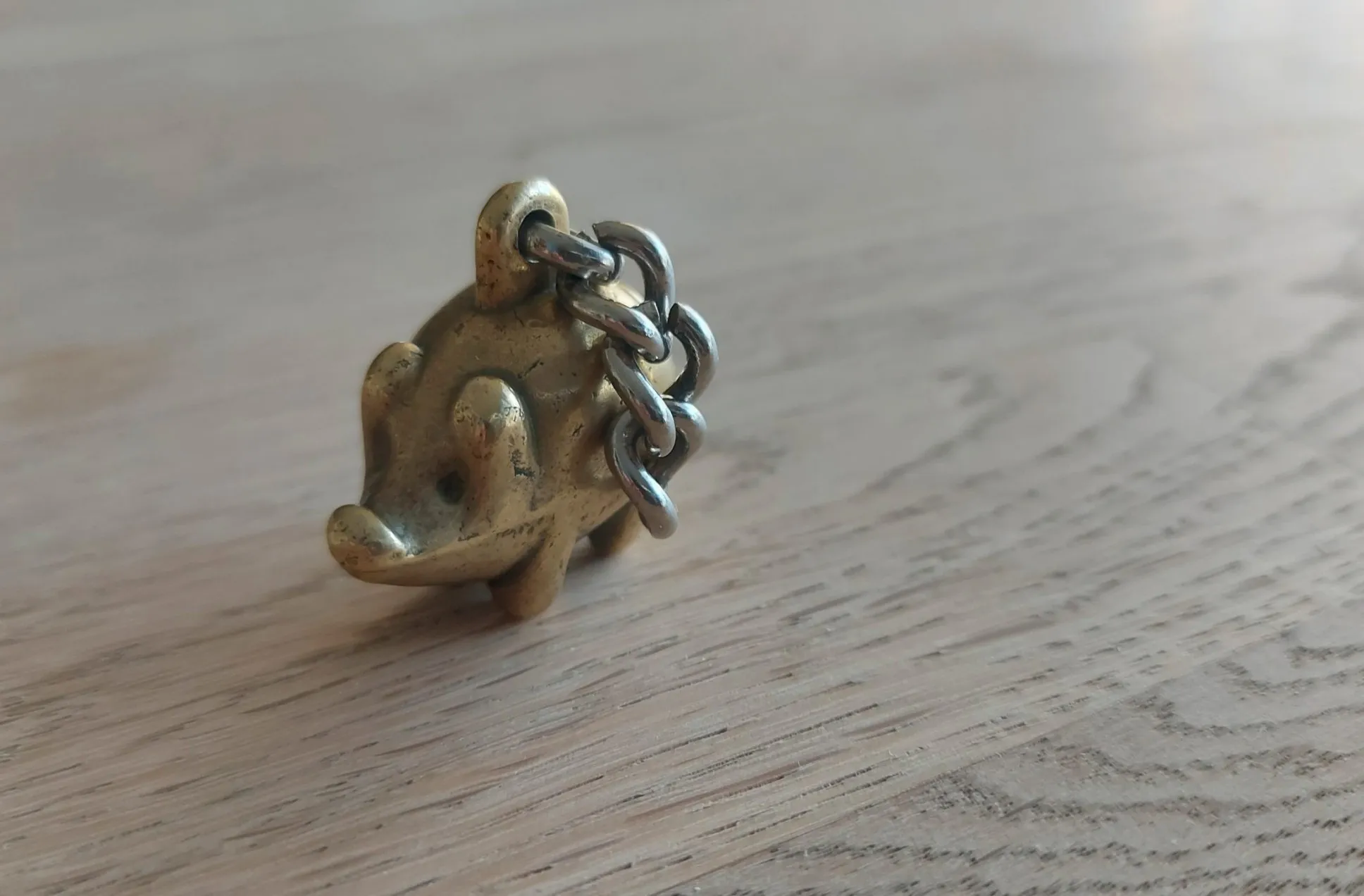 Das gefundene Messingschweinchen