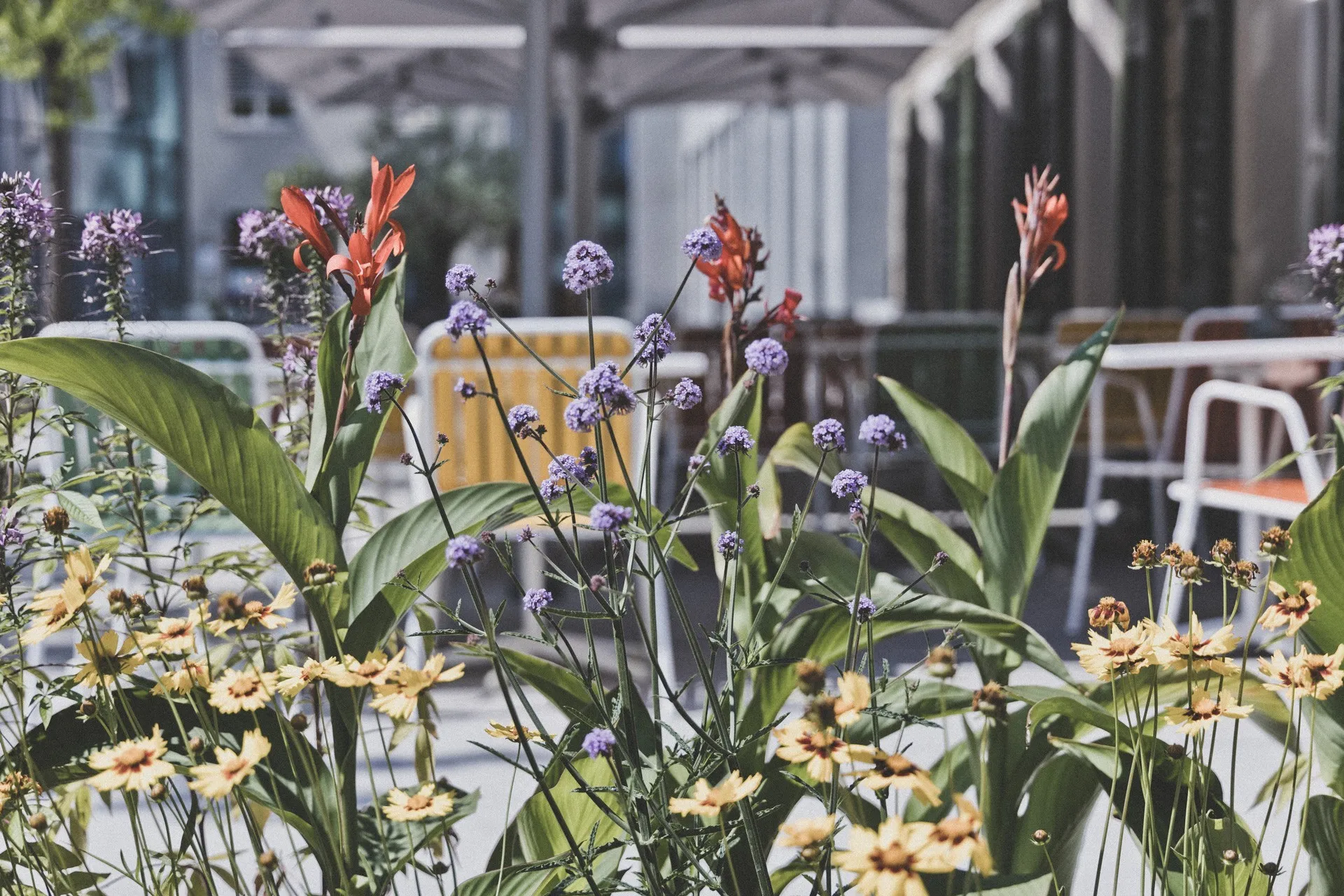 Terasse Hunger und Durst mit Blumen
