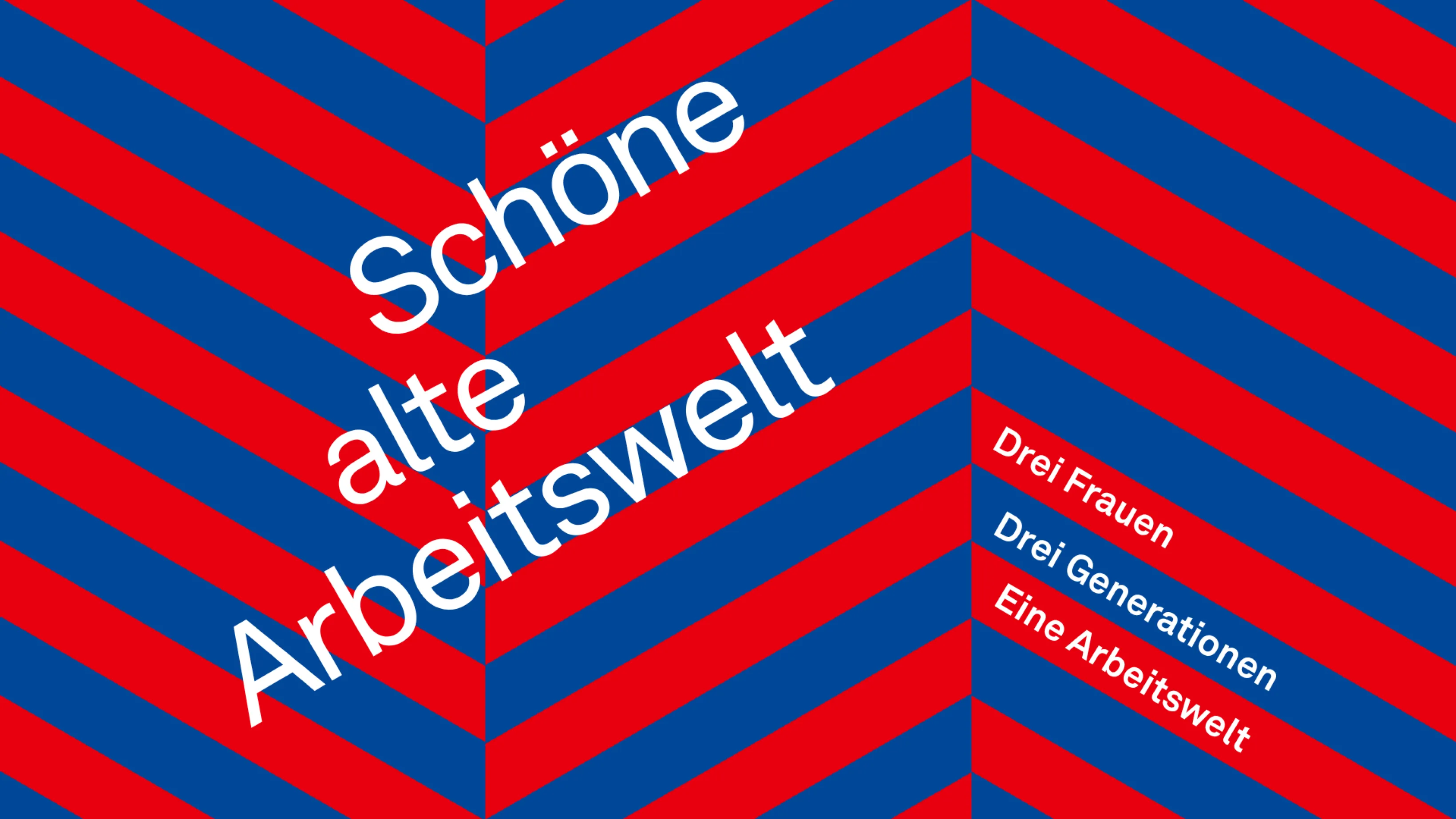 blau-rotes Fischgrätenmuster mit Text: Schöne alte Arbeitswelt - Drei Frauen, Drei Generationen, Eine Arbeitswelt