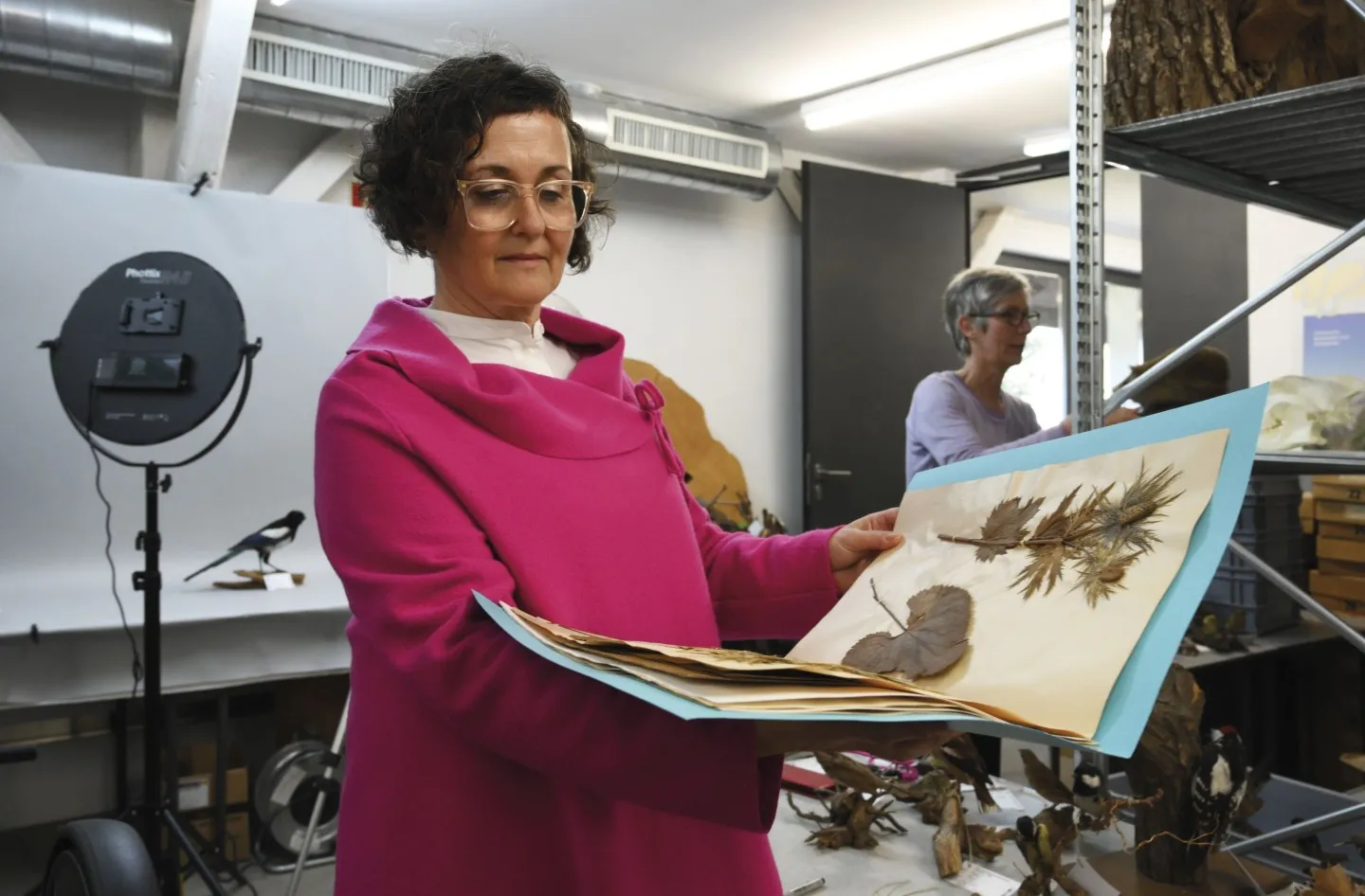 Anette Herburger im Archiv mit einer Sammlung