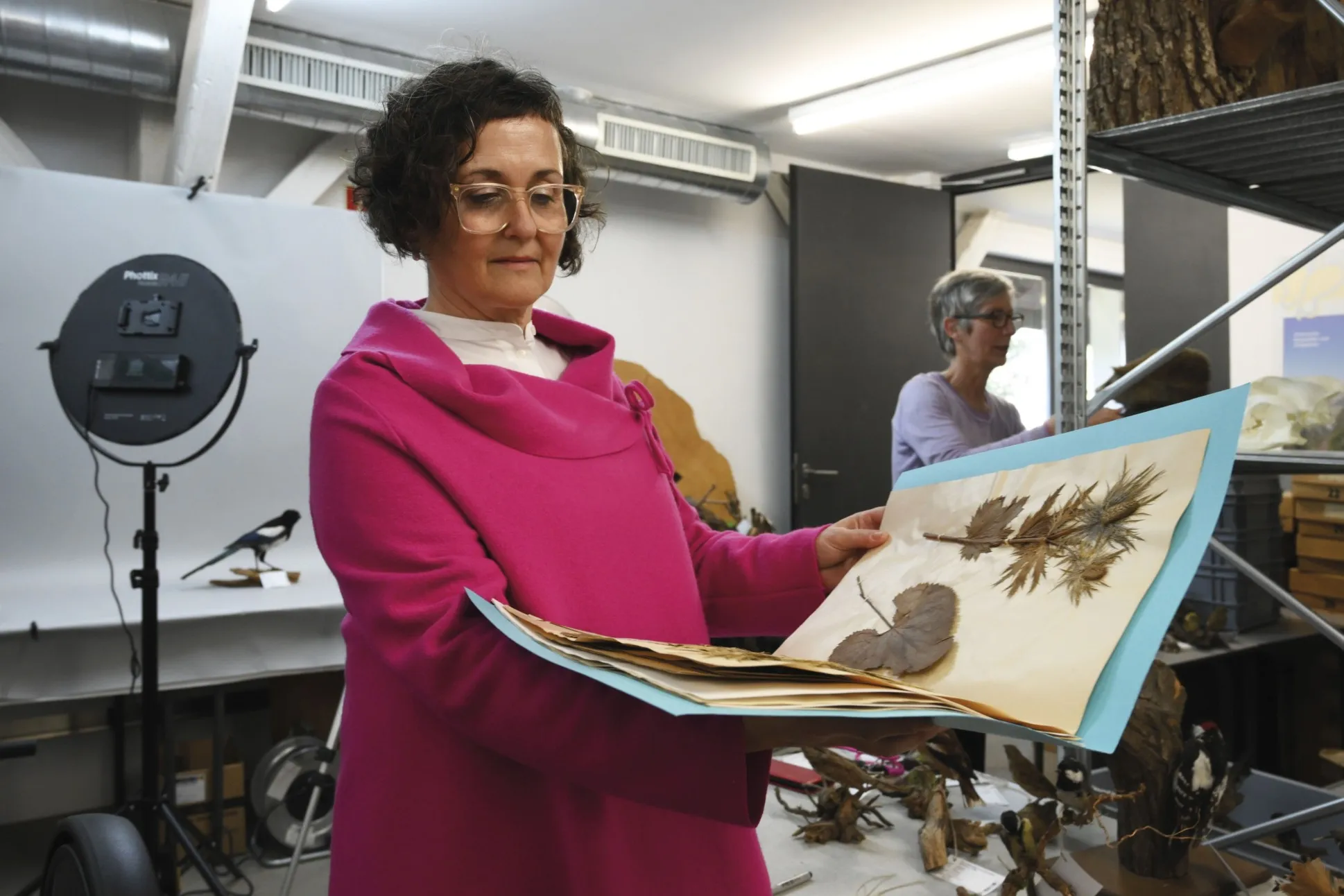 Anette Herburger im Archiv mit einer Sammlung