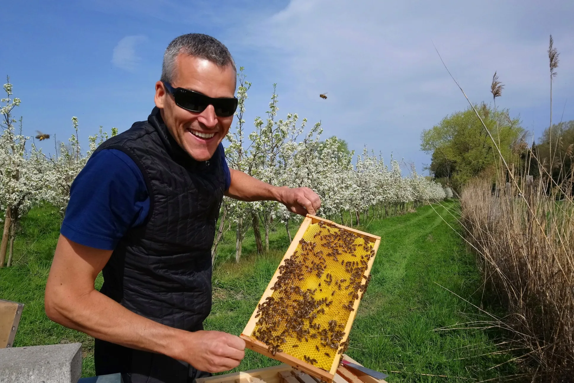 Imker Daniel Berger mit einer Honigwabe